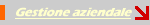 Corsi Area Gestionale
